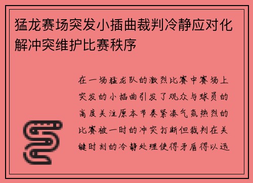 猛龙赛场突发小插曲裁判冷静应对化解冲突维护比赛秩序